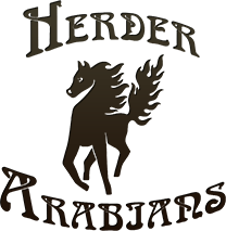 Herder Arabians