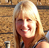 Herder Arabians Horses for Sale